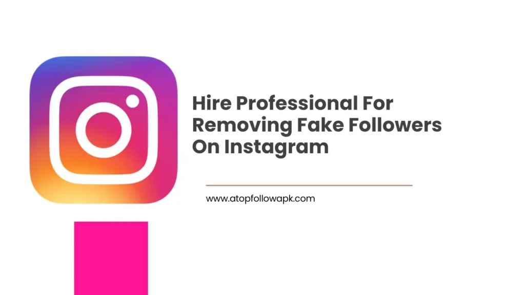 Hire Professional For Removing Fake Followers On Instagram