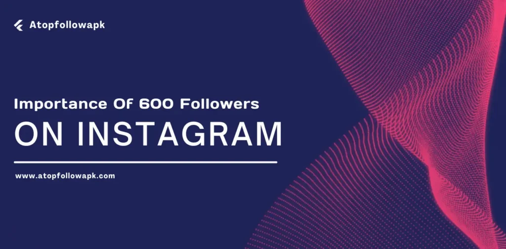 importance of Instagram followers